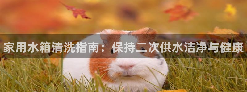球友会提款