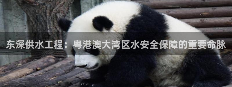 球友会体育app官方版下载安装苹果