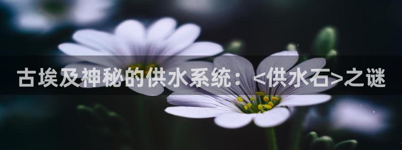 球友会体育app官方版下载安装