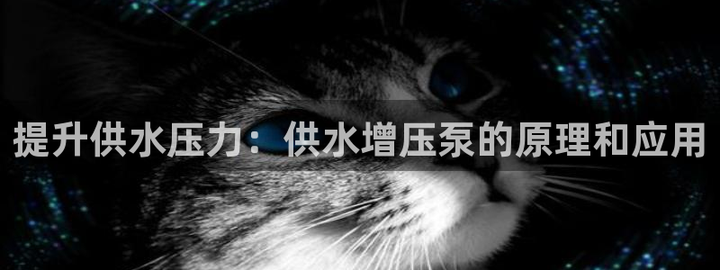 球友会体育app下载安卓手机