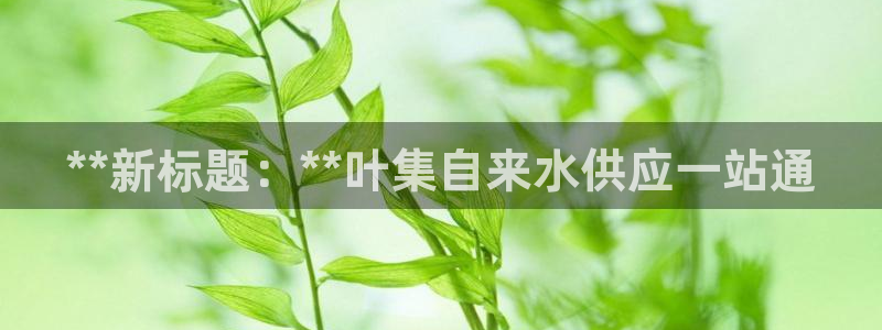 球友会qy怎么进不去