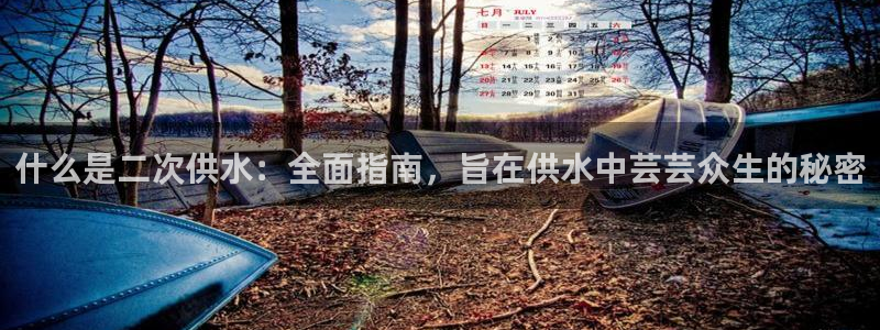 关键词