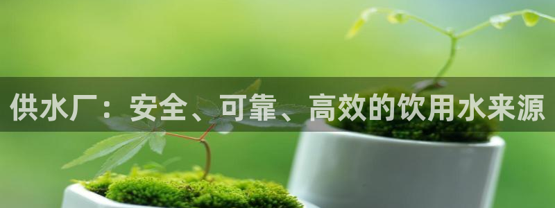 球友会赛程
