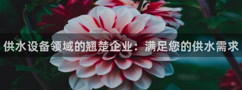 球友会骂客服封号
