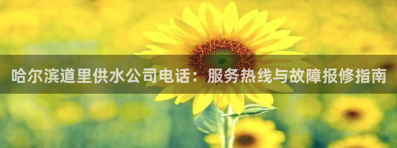 球友会体育app下载官网苹果