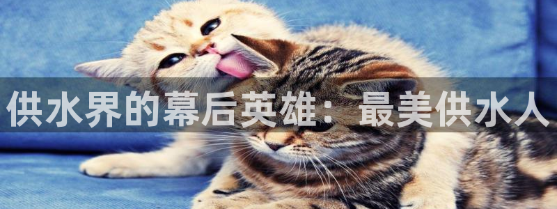 球友会APP