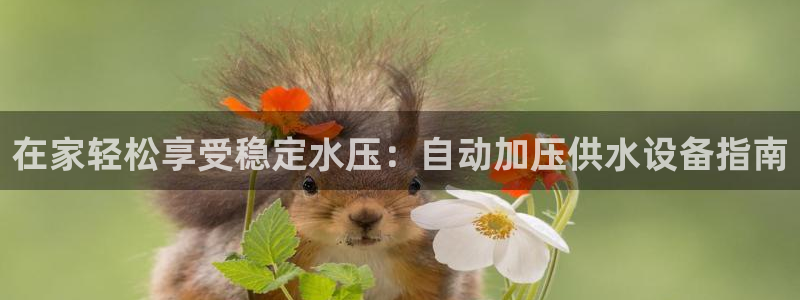 球友会娱乐