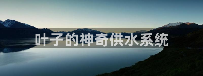 球友会首页