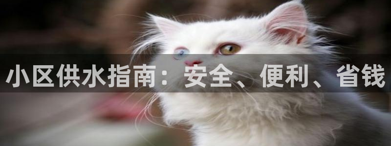 球友会app官方网站下载