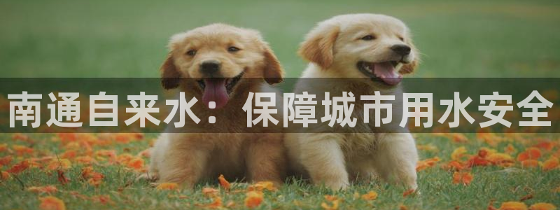 球友会首页