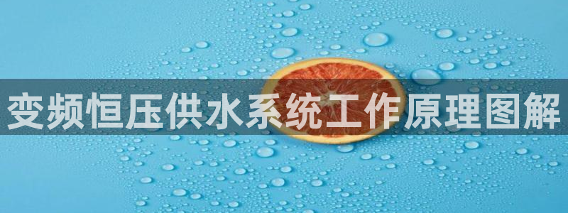 qy球友会体育官网下载