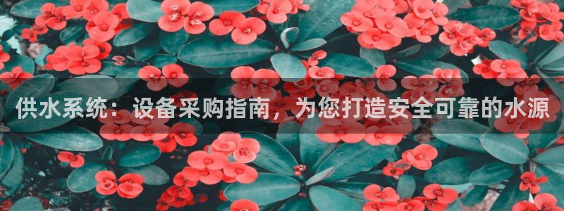 球友会登录不上的原因