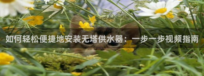 球友会体育官网