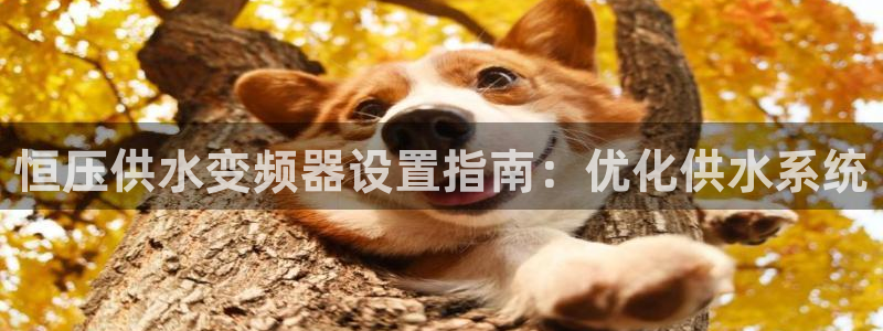 球友会首页