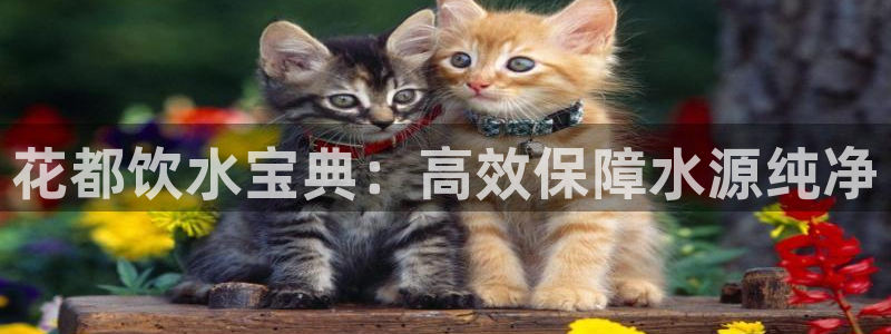 球友会登录不上的原因