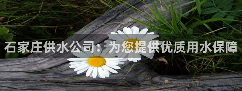 球友会官网登录入口