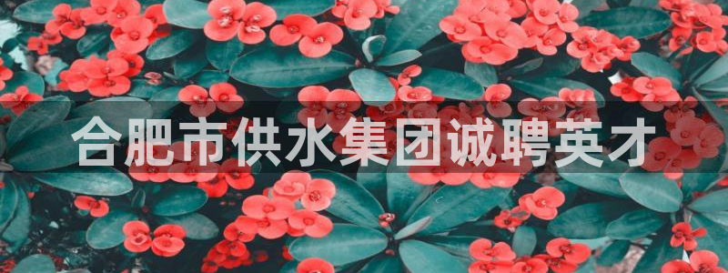 qy球友会体育(中国)官方网站