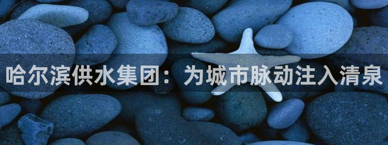 球友会app安全吗可靠吗知乎