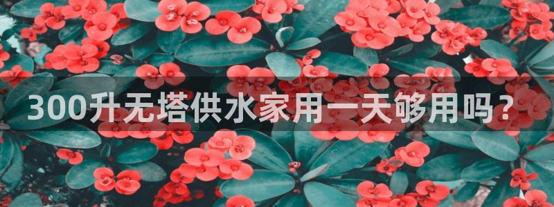 球友会拼音