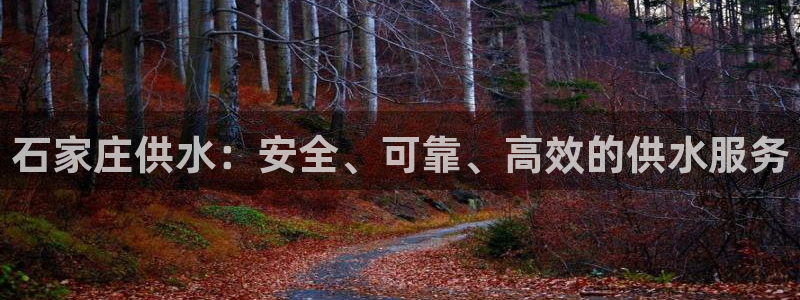 球友会比赛结果查询