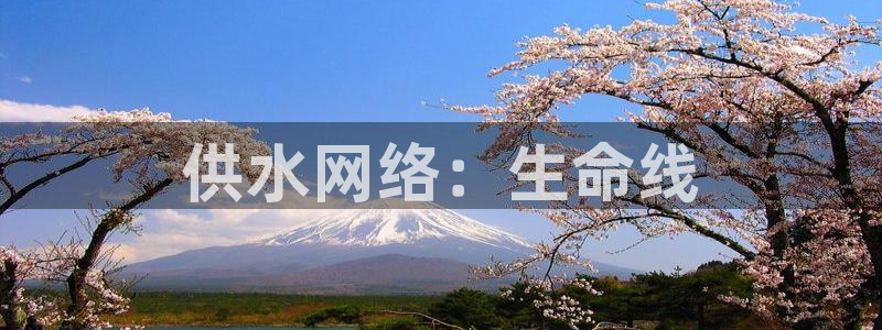 球友会官网登录入口在哪