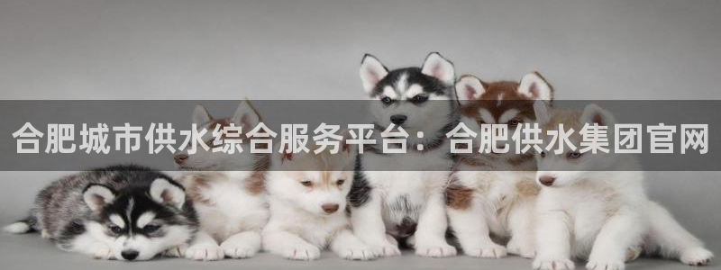 球友会入口
