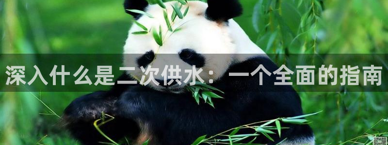 球友会比赛结果查询官网