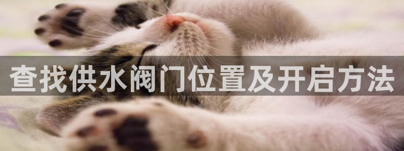 QY球友会官网