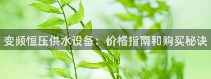 qy球友会体育官下载