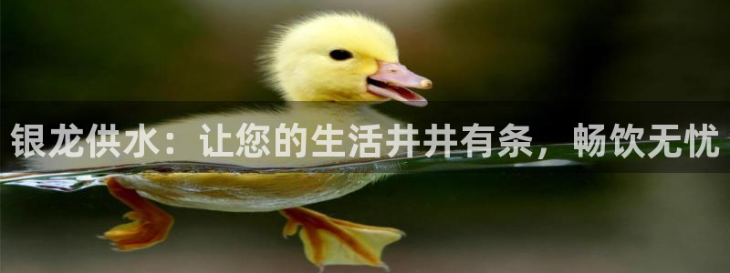 球友会体育app下载