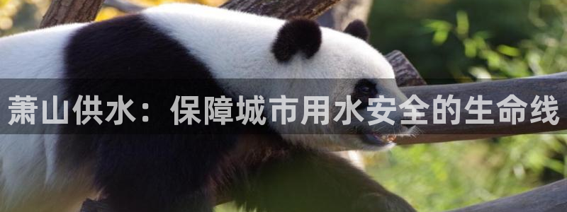 球友会软件
