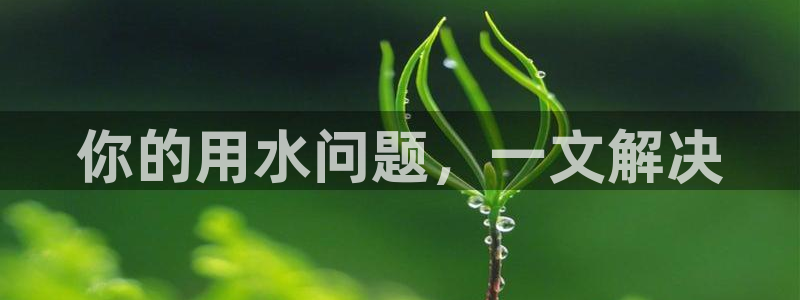 球友会比赛结果查询系统