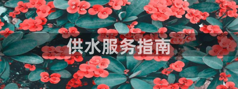 球友会·(QY)官方网站