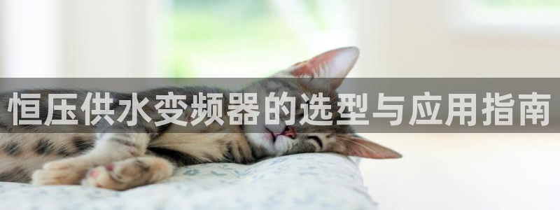 QY球友会