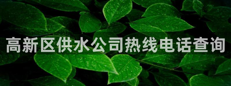 球友会app下载QY