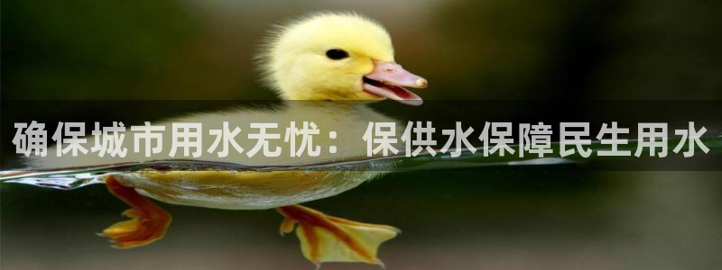 球友会下载