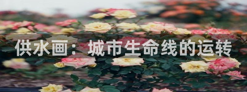 球友会体育app下载安卓版