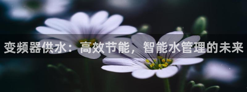 球友会提现