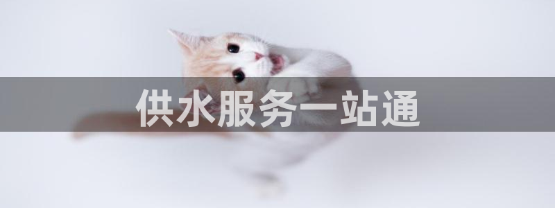 球友会赛程