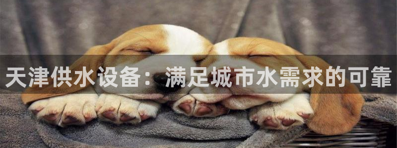 球友会是什么