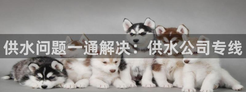 球友会比赛结果查询官网