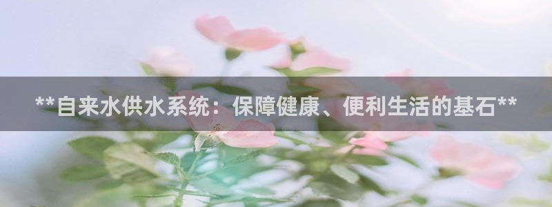 qy球友会体育