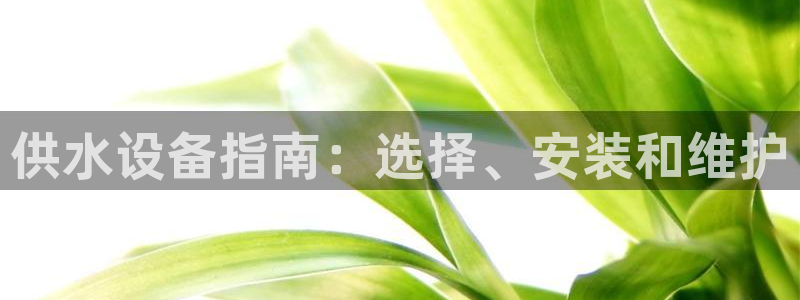 QY球友会官网