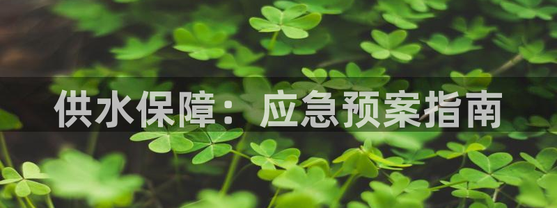 qy球友会体育官网下载