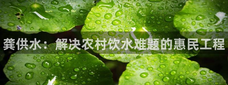 球友会聚餐发言简短