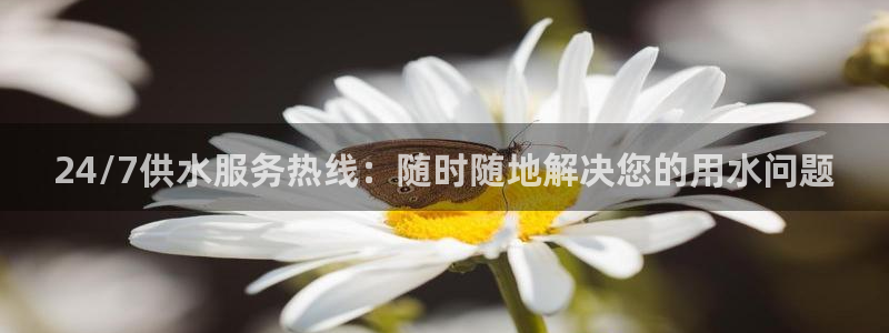 球友会软件