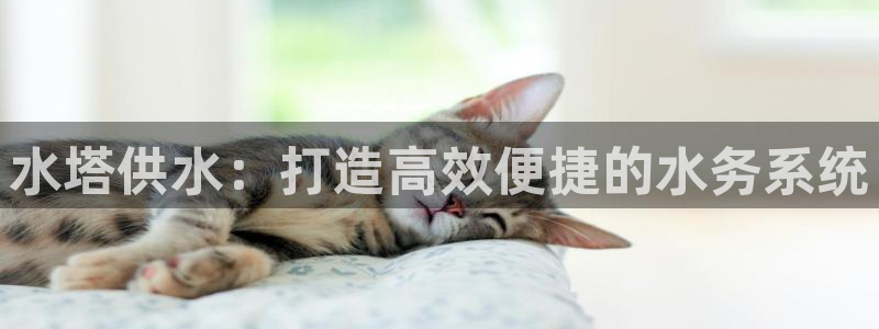 球友会提现