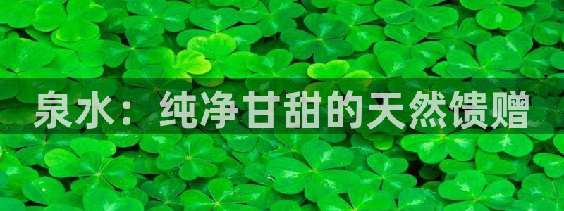 球友会提款审核