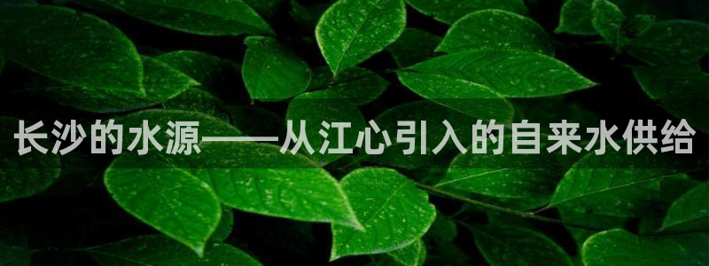 球友会体育app下载安卓最新版