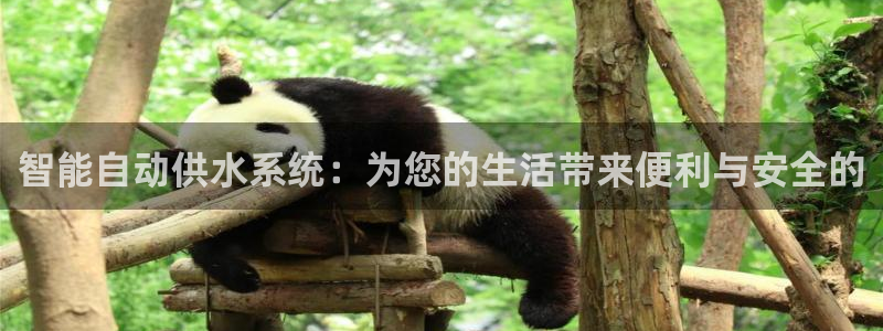 球友会的会字是哪个会